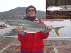 須磨海づり公園　ノマセでメジロ83cmをキ…