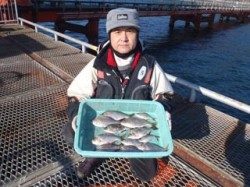 カゴ天秤でウミタナゴ大漁！須磨海づり公園