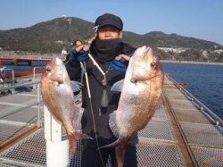 須磨海づり公園　ウキ流し釣りでマダイ良型2枚