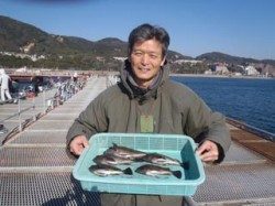 須磨海づり公園　ナイスサイズのメバル釣果