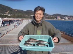 須磨海づり公園　ナイスサイズのメバル釣果