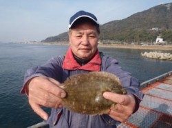 須磨海づり公園　青イソメの投げ釣りでカレイ25cm