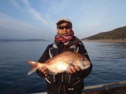 須磨海づり公園　シラサエビでマダイ50cm