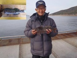 須磨海づり公園　記録賞サイズのアイナメ37…