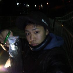 洲本川でシーバスゲーム