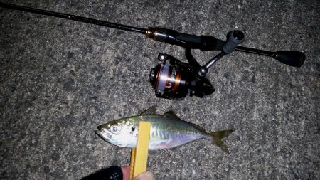 アジを求めランガン