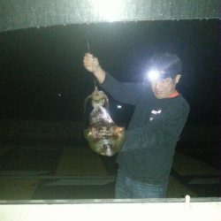 ｱｵﾘｲｶ1.1㌔を頭に５杯GET！