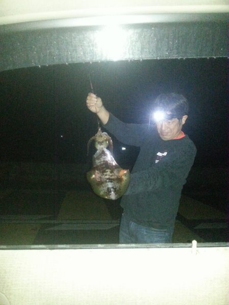 ｱｵﾘｲｶ1.1㌔を頭に５杯GET！