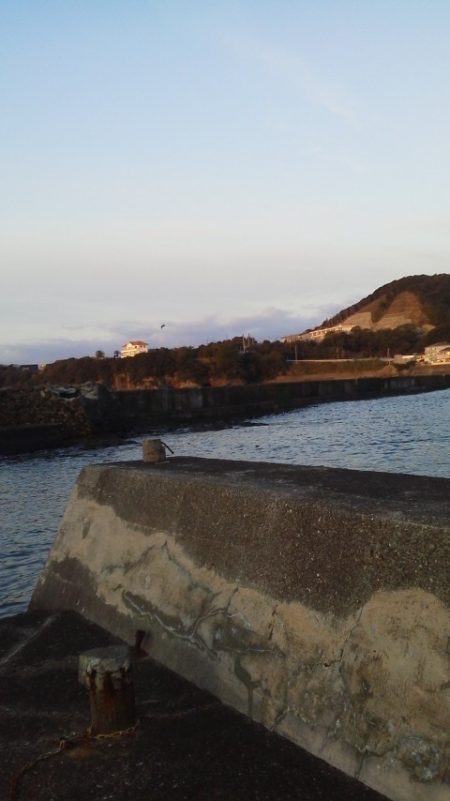 イカ釣れず・・ガシラとベラ・・・