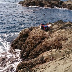 地磯釣行 グレは何処？