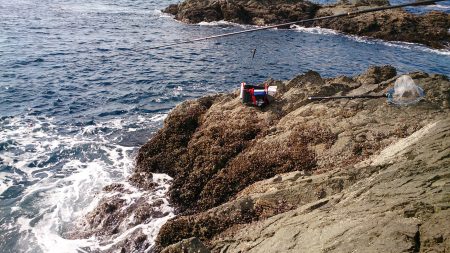 地磯釣行 グレは何処？