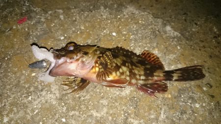 青岸でガシリング