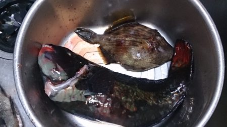 沖磯 フカセ釣果です。