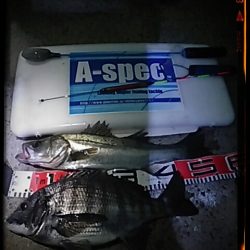 エビ撒き釣り2015*2*15