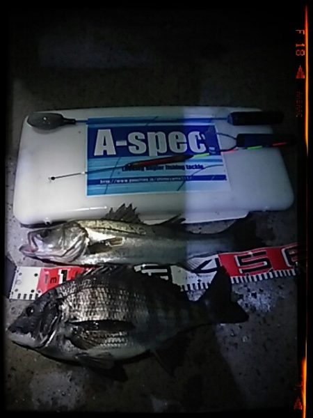 エビ撒き釣り2015*2*15