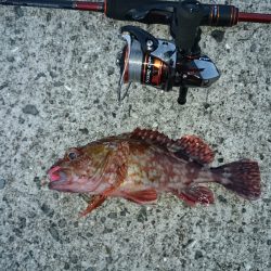 ボトムバンピング