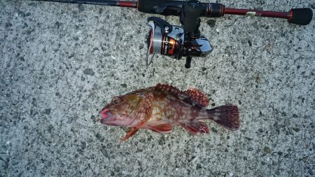 ボトムバンピング