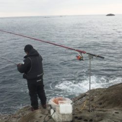 渡船にて、グレ釣り！