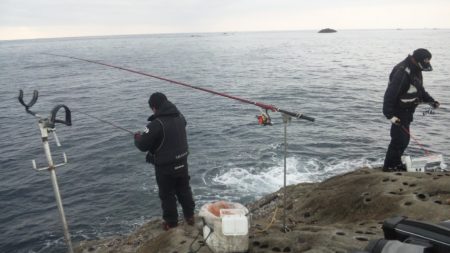 渡船にて、グレ釣り！