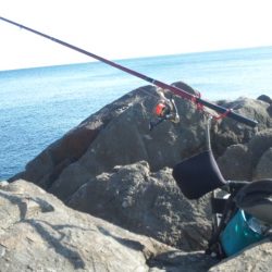 地磯にて、フカセ釣り！