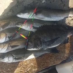 贅沢な‥…………(^-^;