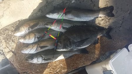 贅沢な‥…………(^-^;