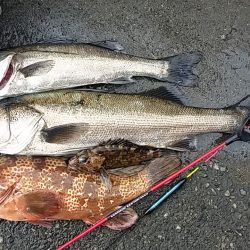 記録更新と今年初