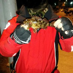 和歌山メバリングランガン メバルの活性が悪い