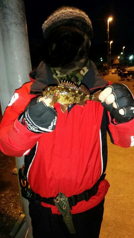 和歌山メバリングランガン　メバルの活性が悪…