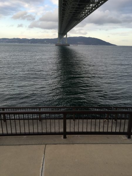 アジュール舞子のサヨリ釣り