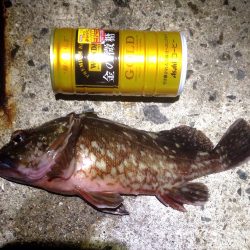 この風はあかん！