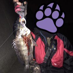 初チニングで初ゲット！