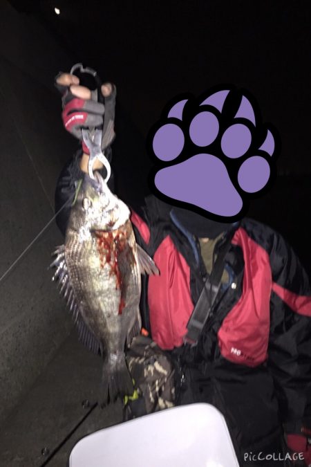 初チニングで初ゲット！