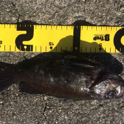 ガツっ！ギュンギュギューン‼︎