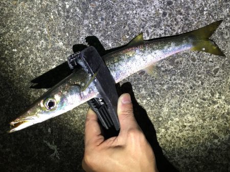 南紀カマスゲーム