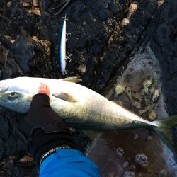 志原の磯でハマチ2本