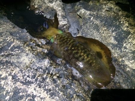 満月大潮！？超爆風！ヤエン釣行