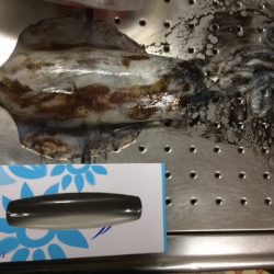 南紀ヤエン釣行！