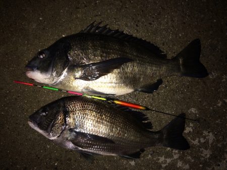 今回もまた‥…………