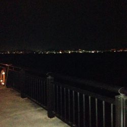 久しぶりの釣りで嬉しい外道