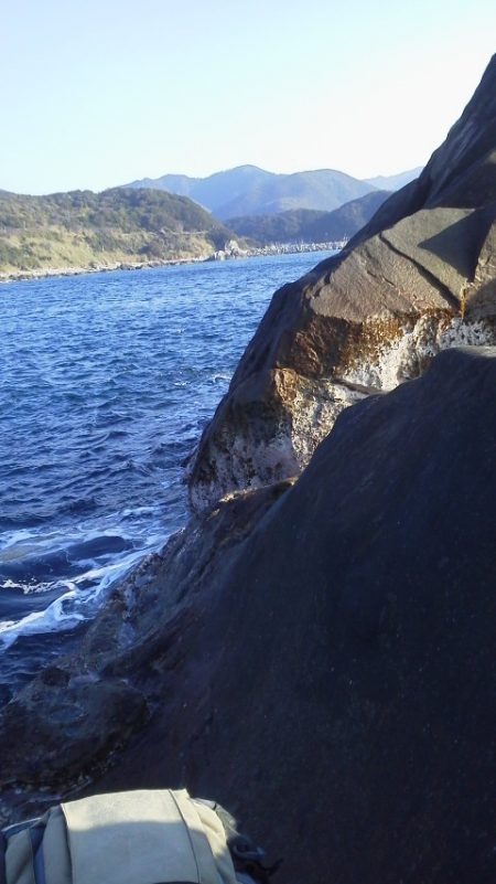 やつと41cmのグレ・・・