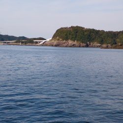 ポツポツ釣れました