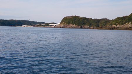 ポツポツ釣れました