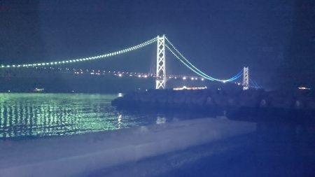 超マイクロサイズ1匹。ほぼボウス