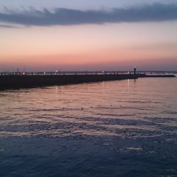 メバルはどこ？？