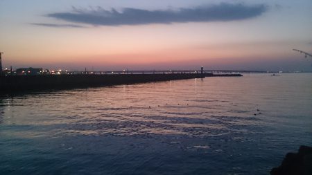 メバルはどこ？？