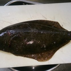 久しぶりの釣行