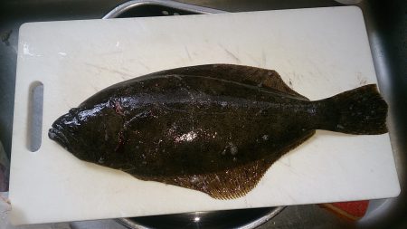 久しぶりの釣行