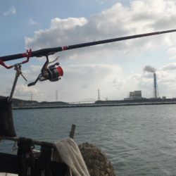 河口にてチヌフカセ！