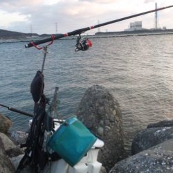 河口にて、チヌフカセ釣り！